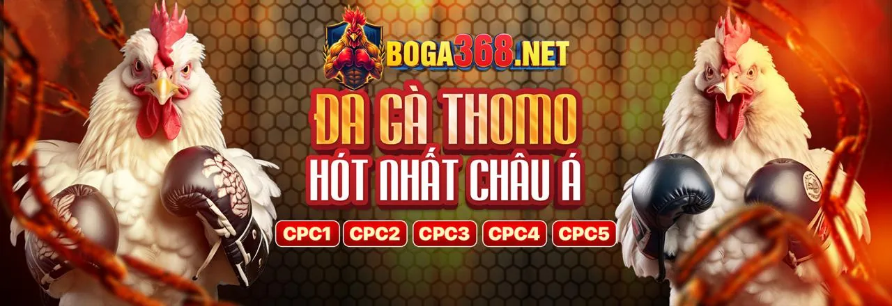 hl8 App Cá Cược Thể Thao Hàng Đầu