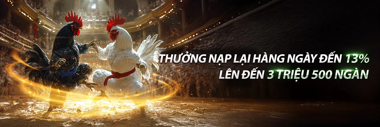 Hình ảnh chính HL8 App