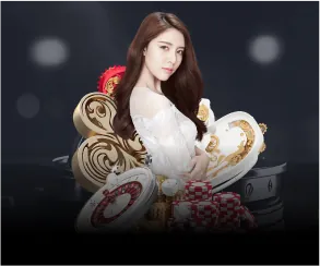 Trách nhiệm và tuân thủ tại hl8 app